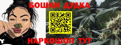 гашик Дубна