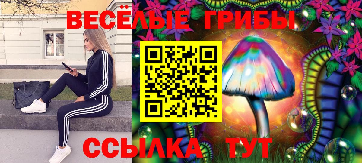 Галлюциногенные грибы Psilocybe  цена наркотик  Лесосибирск  Вход с VPN 